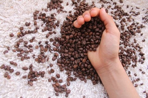 How long do coffee beans last, coffee beans in a hand