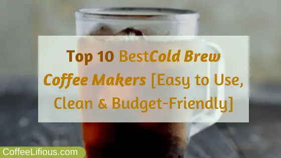 Best cold brew coffee maker