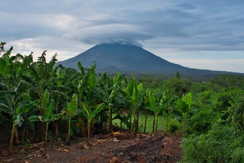 Lifeboost coffee review, Nicaragua