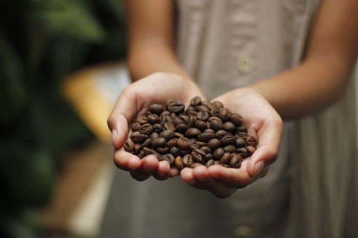 Coffee Beans Regional Flavors The Specific Differences, a person holding coffee beans in their hands