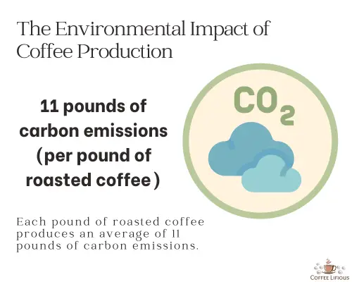 Environmental impact of coffee production, data, statistics, CoffeeLifious
